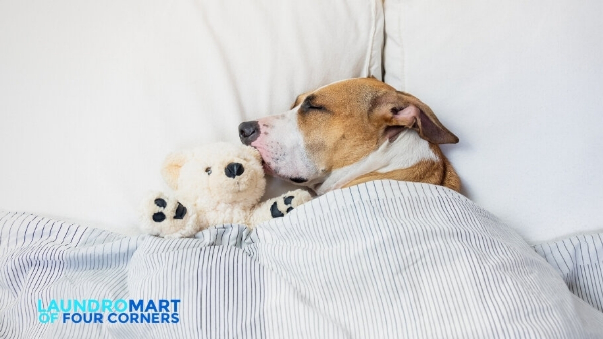 Washing Blankets is Easy at the Laundromat Kissimmee Four Corners FL